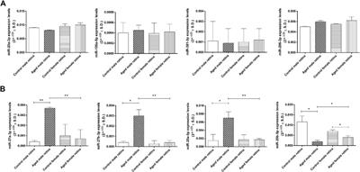 Corrigendum: Changes in Retinal Structure and Ultrastructure in the Aged Mice Correlate with Differences in the Expression of Selected Retinal miRNAs